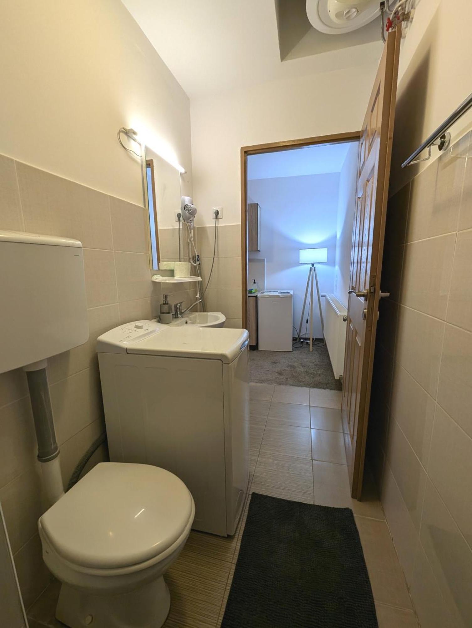 Sandor Central Studio Apartment Targu-Mures Bagian luar foto