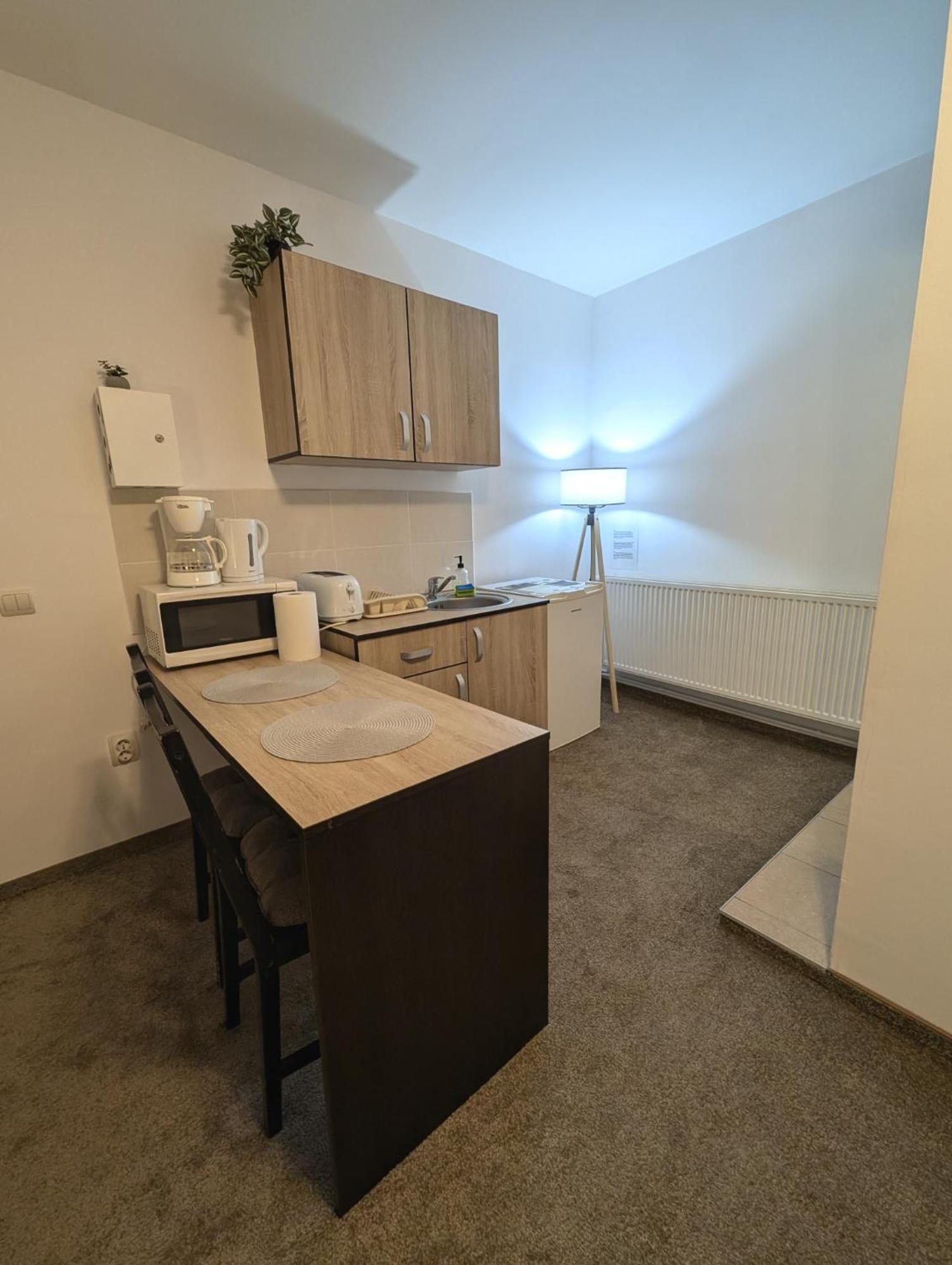 Sandor Central Studio Apartment Targu-Mures Bagian luar foto